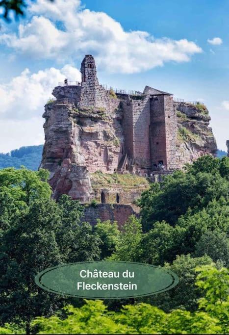 Gite Classe 4 Etoiles  La Maison Du Tonnelier Oberbronn Exterior foto